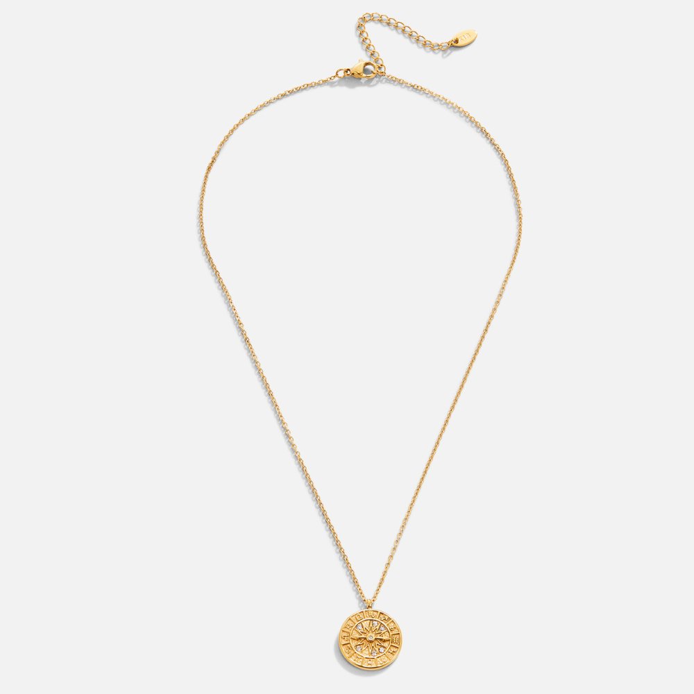 Zodiac Coin Ketting